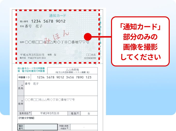 「通知カード」部分のみの画像を撮影してください